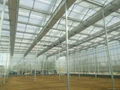 glass greenhouse for sale 4