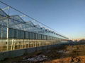 glass greenhouse for sale 5