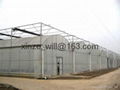 film multi span greenhouse 1