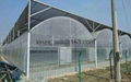 film multi span greenhouse 2