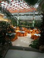 The greenhouse restaurant 4