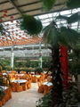 The greenhouse restaurant 5