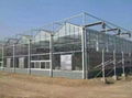 Smart  glass greenhouse  2