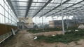 Smart  glass greenhouse  4