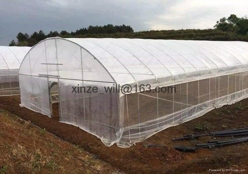 poly tunnel garden greenhouse 4