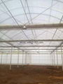 The large span film greenhouse connected by a sink 4