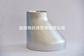 Stainless Steel Pipe Fitting 316