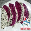 FRESH DRAGON FRUIT  5