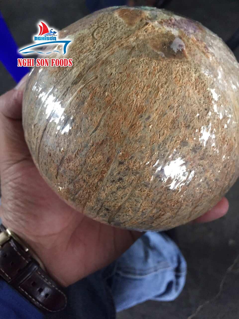 FRESH COCONUT 4