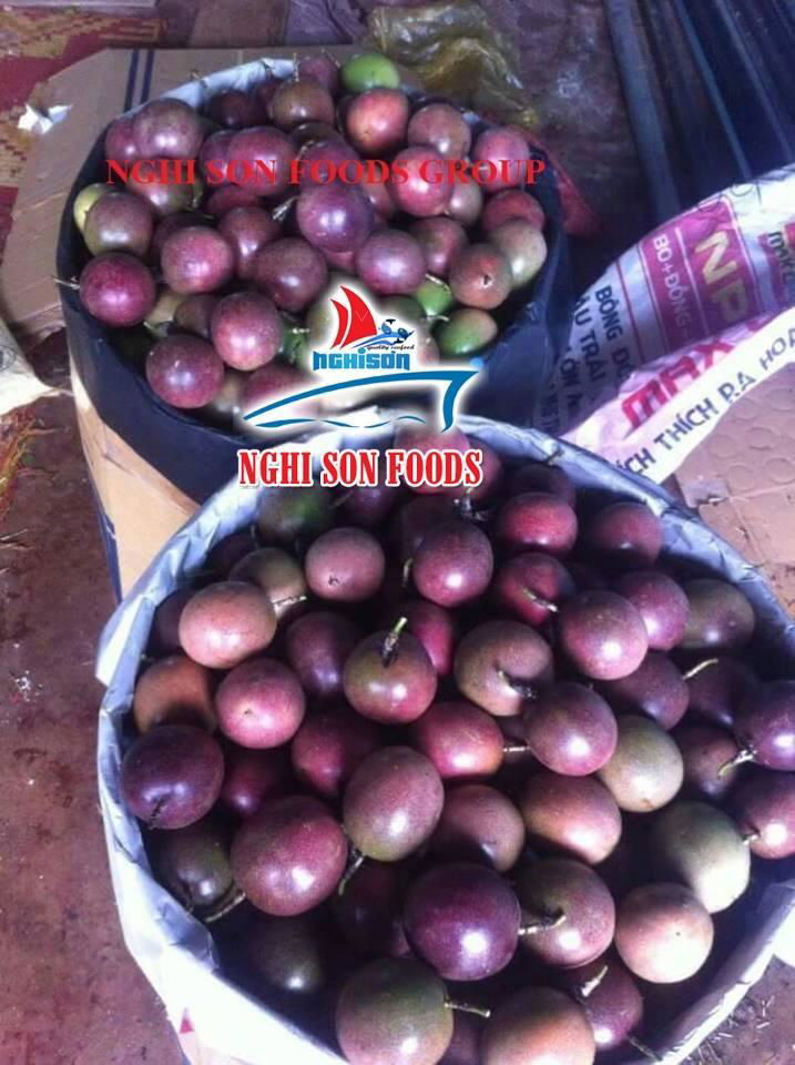 High Quality Fresh PASSION FRUIT With Reasonable Price.