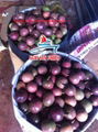 High Quality Fresh PASSION FRUIT With Reasonable Price. 1