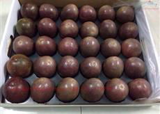 High Quality Fresh PASSION FRUIT With Reasonable Price. 4