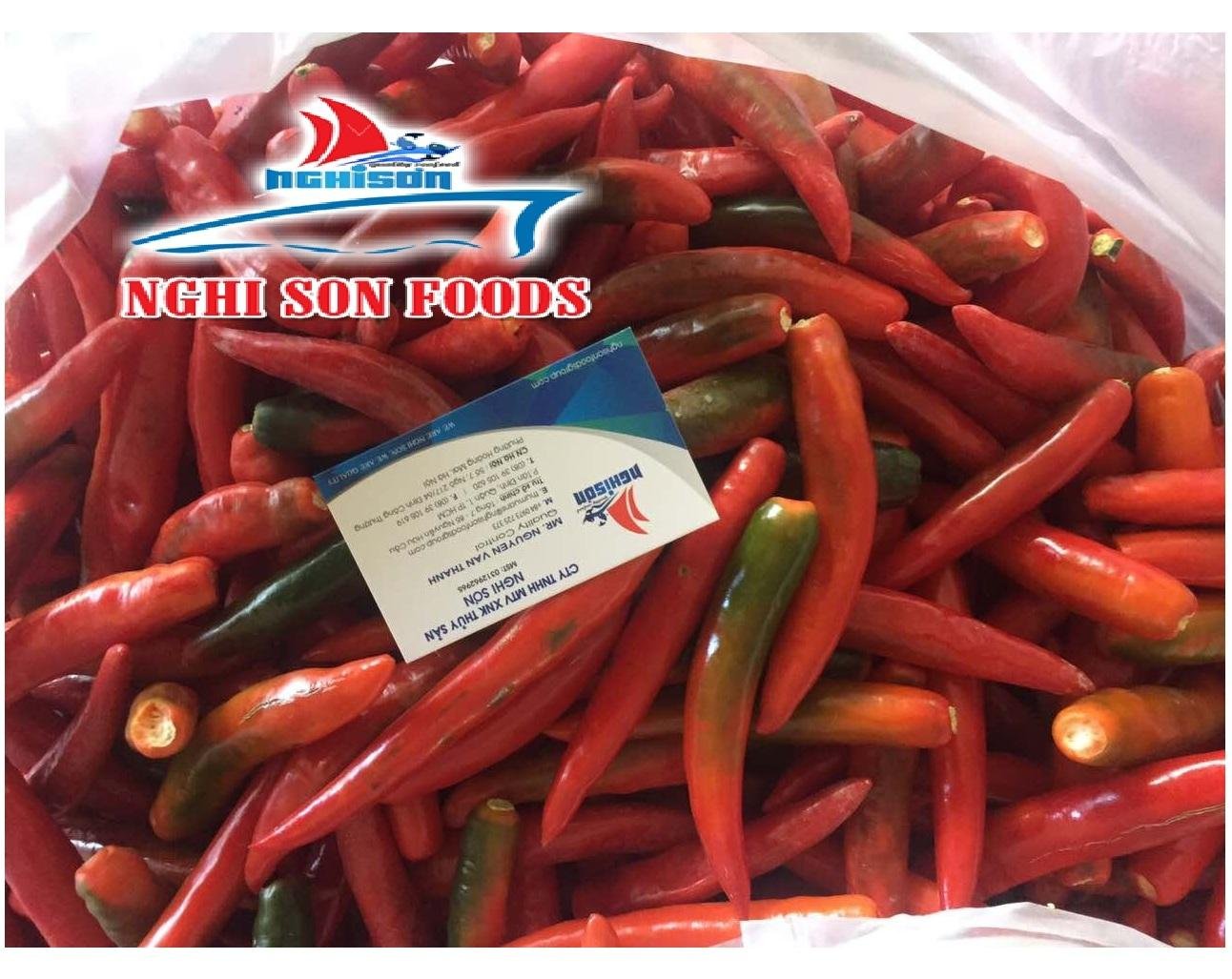 Vietnamese Fresh Chilli for Sale - Premium Quality. 2