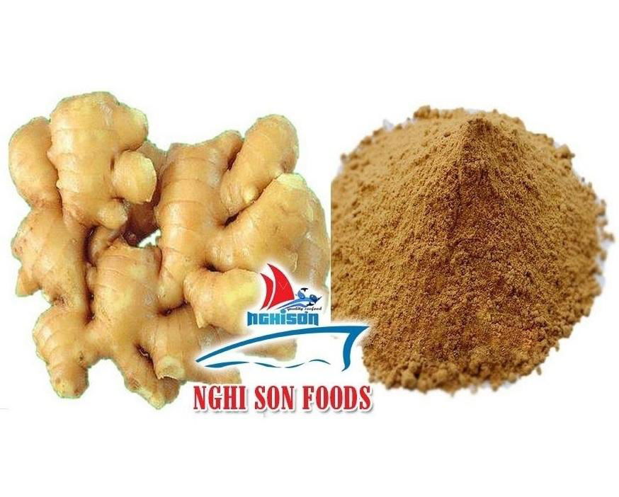 Fresh Young Ginger For Sale From Viet Nam  3