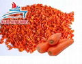 Fresh Orange Carrot from Viet Nam –High Quality-Wholesale Price.