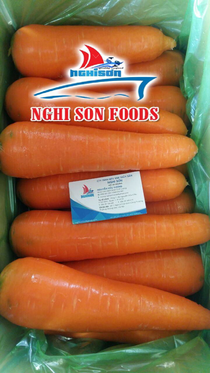 Fresh Orange Carrot from Viet Nam –High Quality-Wholesale Price. 5