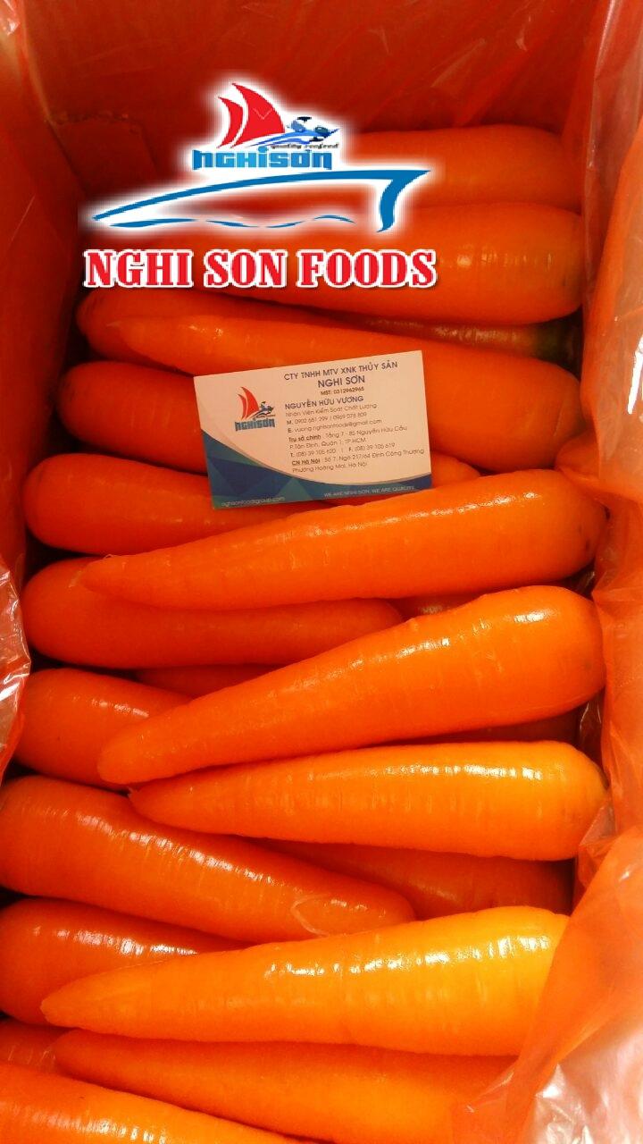 Fresh Orange Carrot from Viet Nam –High Quality-Wholesale Price. 3