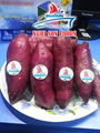 Vietnamese Purple Sweet Potato For Sale. 4