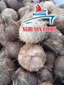 Vietnamese Semi Coconut Supplier Premium