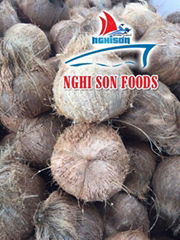 Vietnamese Semi Coconut Supplier Premium Price.