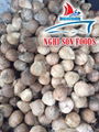 Vietnamese Semi Coconut Supplier Premium Price. 4