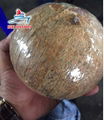 Vietnamese Semi Coconut Supplier Premium Price. 5