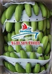 Cavendish Banana 100% Natural Taste from Viet Nam