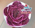 Dried Dragon Fruit Slices from Viet Nam 1