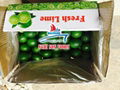 Seedless Fresh Lime from Viet Nam Supplier in Bulk 3