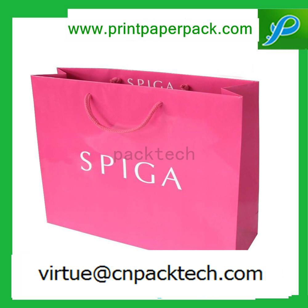 Luxury Present Please European Shopping Apparel Paper Bag 3