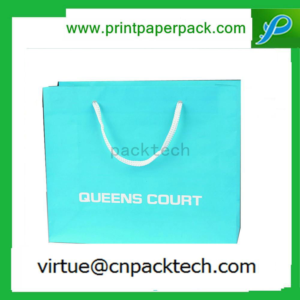 Luxury Present Please European Shopping Apparel Paper Bag 5