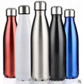 vacuum flask 1