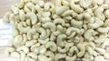 Cashew nuts White Whole w320  2