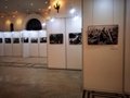 上海画展挂画展示使用的展板架白色1X2.5米 4