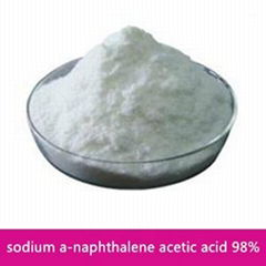 High purity plant growth regulator sodium a-naphthalene acetic acid 98%TC