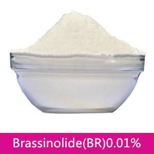 High efficiency plant growth regulator Brassinolide(BR)90%TC, 0.1%SP, 0.01%SP