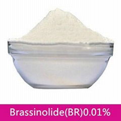 High efficiency plant growth regulator Brassinolide(BR)90%TC, 0.1%SP, 0.01%SP