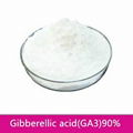 High purity plant growth regulator Gibberellic acid(GA3)90%TC