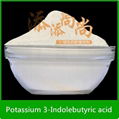 Plant growth regulator Potassium