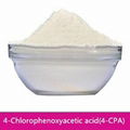 Plant growth regulator 4-Chlorophenoxyacetic acid(4-CPA)98%TC 1