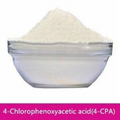 Plant growth regulator 4-Chlorophenoxyacetic acid(4-CPA)98%TC