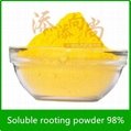 Plant growth regulator soluble rooting