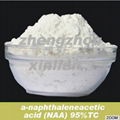 Plant growth regulator Naphthalene acetic acid(NAA) 95%TC