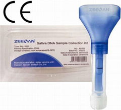 Saliva DNA Sample Collection Kit