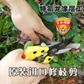 台湾原装进口SK5园林园艺剪刀果树修枝剪 4