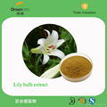 Lily Bulb Extract 1