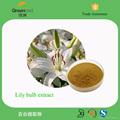 Lily Bulb Extract 4