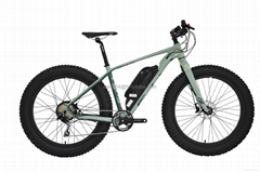 26"*4.0 Fat Electric Bike