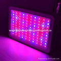 300W Led grow light full spectrum for medical plants 4