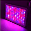 300W Led grow light full spectrum for